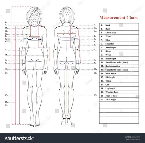 thick female measurements|women's body measurements.